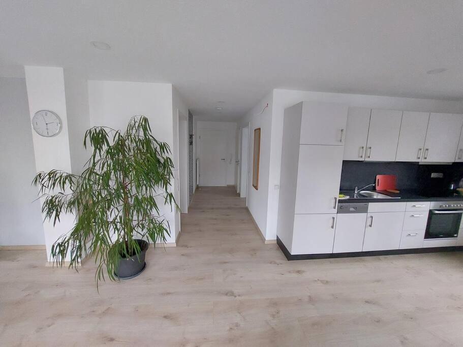 Ferienwohnung Koenigsquelle Bad Wildungen Extérieur photo